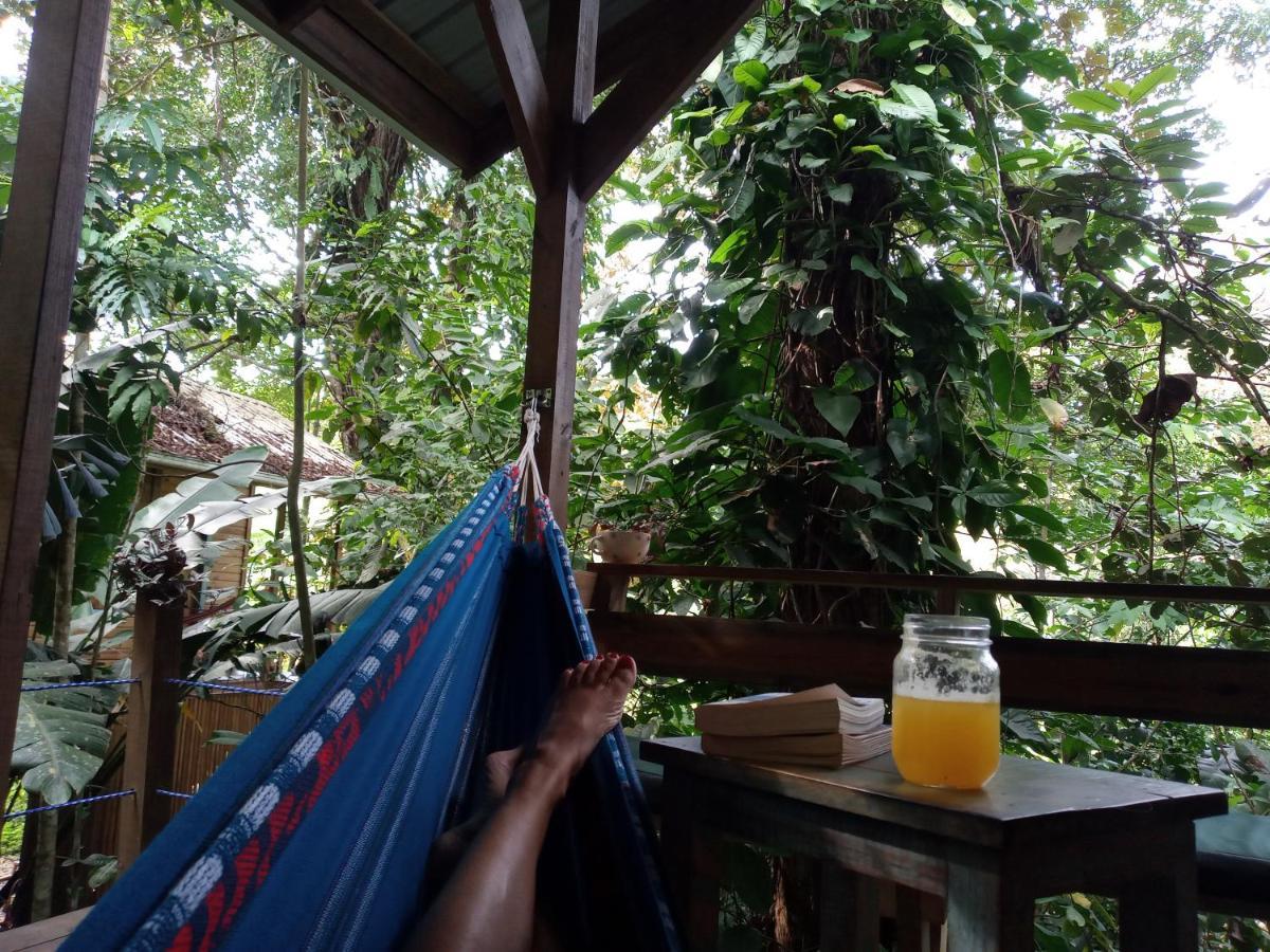 Jungle Paunch Villa Bocas del Toro Eksteriør bilde