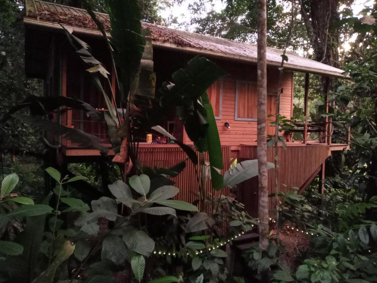 Jungle Paunch Villa Bocas del Toro Eksteriør bilde