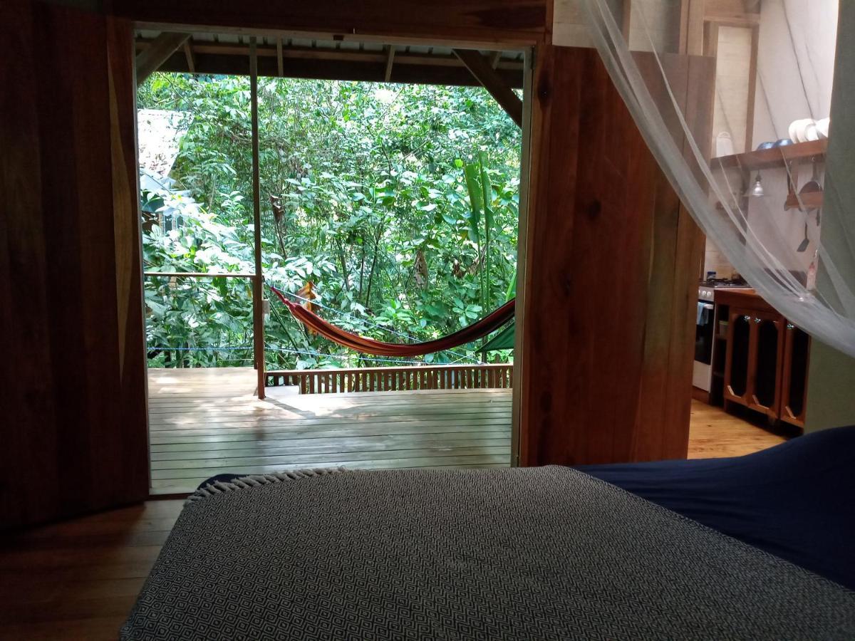 Jungle Paunch Villa Bocas del Toro Eksteriør bilde
