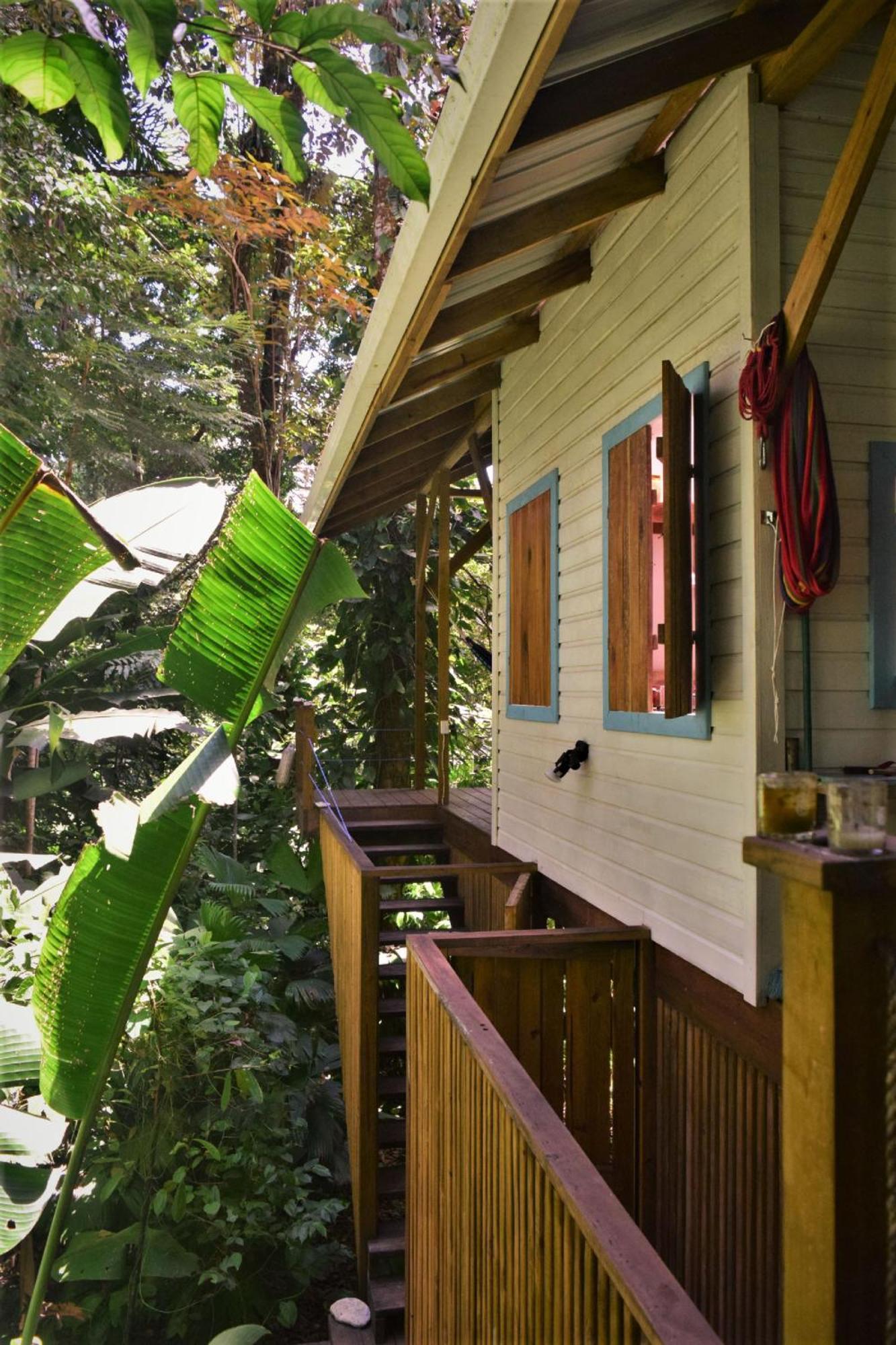 Jungle Paunch Villa Bocas del Toro Eksteriør bilde